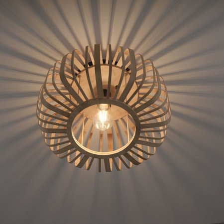 Lampa sufitowa Paul Neuhaus RACOON 11412-79 drewniany