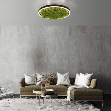 Lampa sufitowa GREEN RITUS Zuma Line 15391-66 zielony