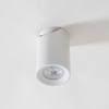 Spot Zuma Line TLS006-WH TORE LAMPA SUFITOWA BIAŁA/WHITE