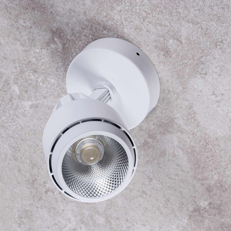 Reflektor nastropowy LED Greenie COB 20W biały CW