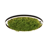 Lampa sufitowa GREEN RITUS Zuma Line 15392-66 zielony