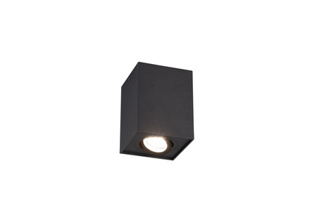 Spot Trio 613000132 czarny