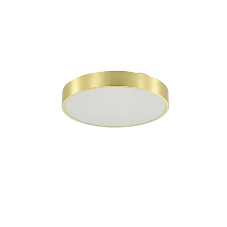 Lampa sufitowa Zuma Line MS724-R400-GD NADI LAMPA SUFITOWA ZŁOTA/GOLD