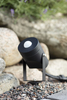 Markslöjd GARDEN 106940 24V PIR-Sensor czarny