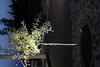 Lampa zewnętrzna Markslöjd GARDEN 106932 czarny