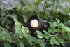 Lampa zewnętrzna Markslöjd GARDEN 106930 czarny