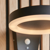 Kinkiet zewnętrzny Endon Lighting Ebro 96933 czarny