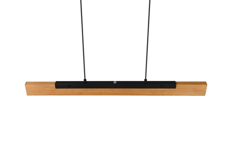 Lampa wisząca Trio 341610132 czarny