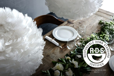 Lampa wewnętrzna Umage 2298 Eos Mini light rose