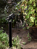 Lampa zewnętrzna Markslöjd GARDEN 106932 czarny