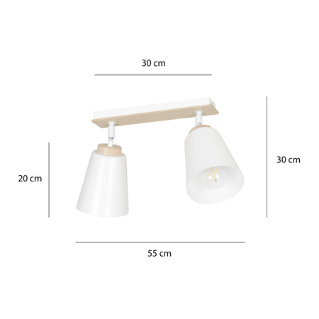 Lampa sufitowa ATLAS 2 WHITE Emibig 724/2 biały