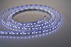 Taśma LED Greenie 1m 120 diod 3528SMD na metr 9.6W/mb wodoodporna IP65 CW Rolka 5m