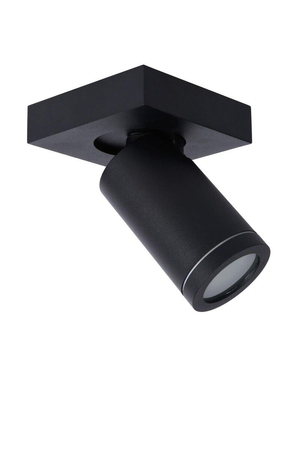 Lampa sufitowa Lucide TAYLOR 09930/05/30 czarny