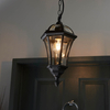 Endon Lighting Lampa zewnętrzna wisząca YG-3503 czarny
