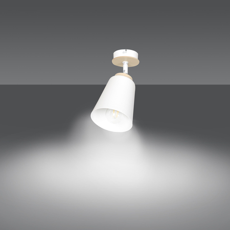 Lampa sufitowa ATLAS 1 WHITE Emibig 724/1 biały