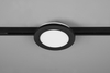 Lampa sufitowa Trio 76921032 czarny