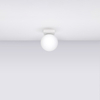 Sollux Lighting Plafon YOLI 1 biały SL.1146