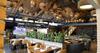 Lampa wisząca Graypants GP-152-a Scraplights Drum24 natural