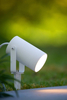 Lampa zewnętrzna Lucide TAYLOR 09832/01/31 