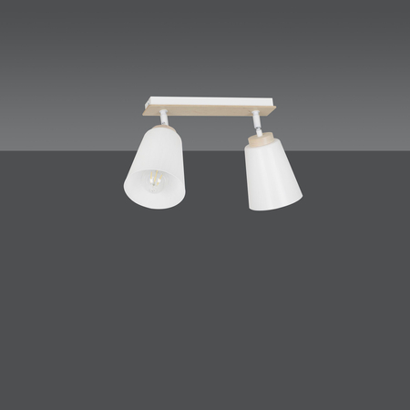 Lampa sufitowa ATLAS 2 WHITE Emibig 724/2 biały