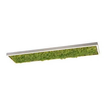 Lampa sufitowa GREEN KNUT Zuma Line 15623-66 zielony