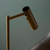 Endon Lighting Lampa podłogowa 99774 mosiądz