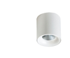 Spot MANE 20W WH Azzardo AZ4152 biały