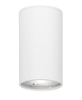 Lampa sufitowa Luces Exclusivas CARUPANO LE61436 biały