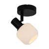 Spot STEM Zuma Line R5021009A-1R