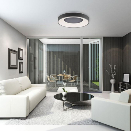 Plafon Paul Neuhaus ANIKA 14326-18 szary