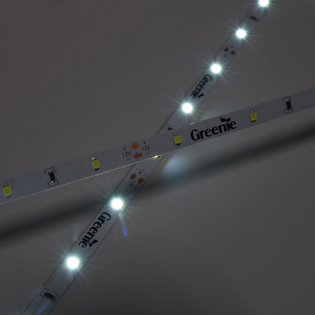 Taśma LED Greenie 1m 30 diod 3528SMD na metr 2.4W/mb czerwona Rolka 5m