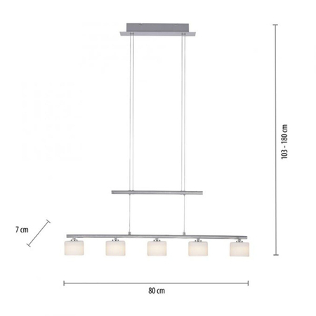 Lampa wisząca Paul Neuhaus HYDRA 2209-55 stalowy