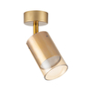 Kinkiet Zuma Line OB-2211BD-1-GLD REN KINKIET ZŁOTY/GOLD