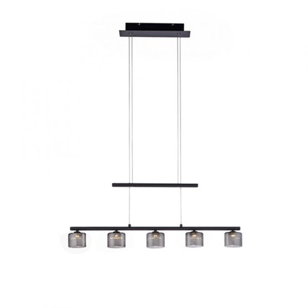 Lampa wisząca Paul Neuhaus HYDRA 2209-18 czarny