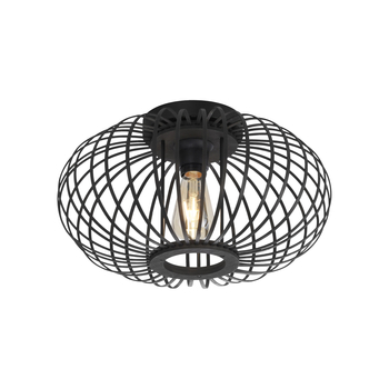 Lampa sufitowa RACOON Zuma Line 11410-18 czarny
