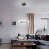Lampa wisząca Rabalux Adrienne 2428 srebrny