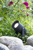 Lampa zewnętrzna Markslöjd GARDEN 106929 czarny