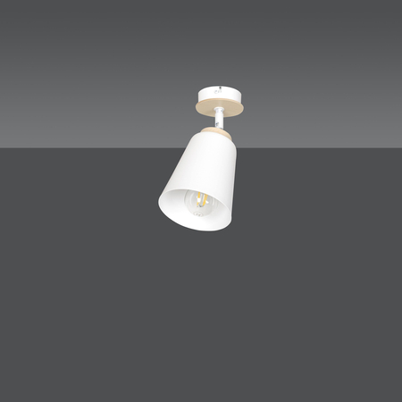 Lampa sufitowa ATLAS 1 WHITE Emibig 724/1 biały