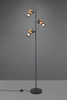 Lampa podłogowa Trio 404300332 czarny