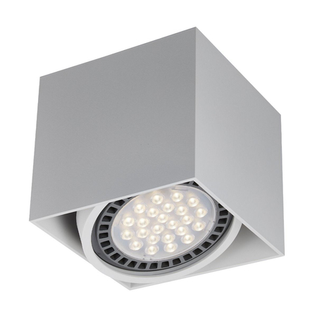 Spot BOX Zuma Line ACGU10-114-N biały