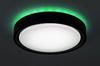 Lampa sufitowa Rabalux Foster 3283 czarny