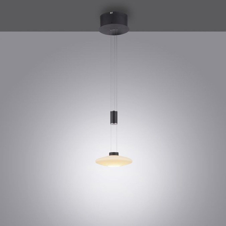 Lampa wisząca Paul Neuhaus LAUTADA 2080-18 czarny