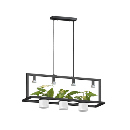 Lampa wisząca PLANTER Zuma Line P0536-04B-P7AB złoty
