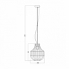 Lampa wisząca Zuma Line Dinis RLD931020-1