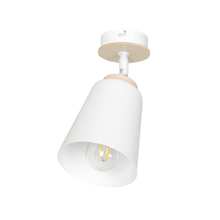 Lampa sufitowa ATLAS 1 WHITE Emibig 724/1 biały