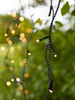 Lampki ozdobne Markslöjd GARDEN 108179 IP44 2700K