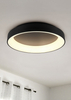 Lampa sufitowa Trio 671290132 czarny