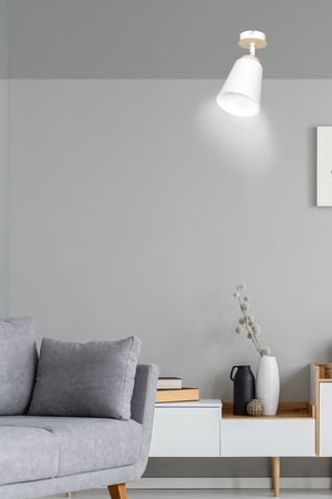 Lampa sufitowa ATLAS 1 WHITE Emibig 724/1 biały