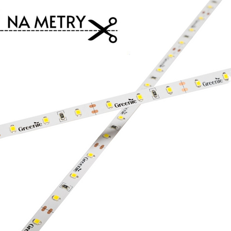 Taśma LED 24V WW 60xSMD2835 6W/m biała ciepła Greenie
