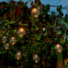 Girlanda Zuma Line SW-1007A GIRLANDA ZEWNĘTRZNA SOLARNA LED